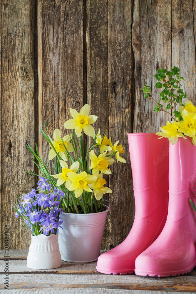 rubber boots and spring flowers on wooden background - obrazy, fototapety, plakaty 