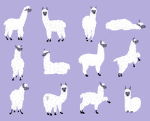 Vector Set Of Llamas In Pastel