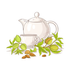 Wall Mural - apricot tea in teapot llustration