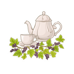 Poster - black currant tea illustration