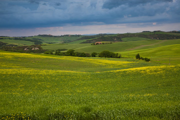 beautiful green summer landscape in Tuscany, Italy