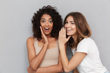 Wall Mural - Portrait of two happy young women sharing secrets