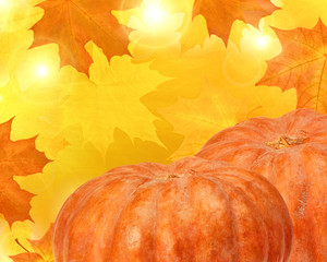 two bright orange pumpkins on maple leaves background