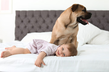 Wall Mural - Cute little child with dog on bed at home