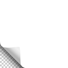 Wall Mural - White sheet of paper with curled lower left corner and transparent background under it. Vector illustration.