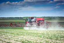 Self-propelled Sprayer Makes Herbicide On The Field Of Young Corn