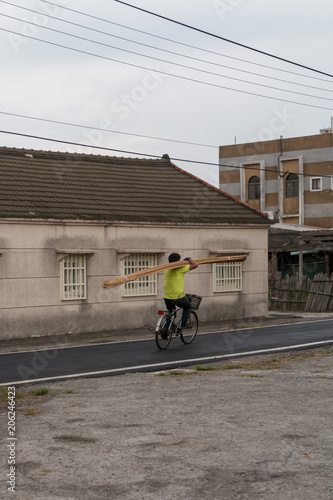 Fotografie, Obraz A worker on a bicycle in carrying a large selection of bamboo poles