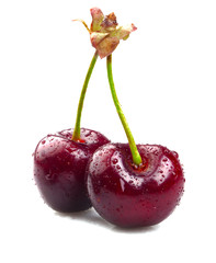 Sticker - Ripe juicy cherry on white background