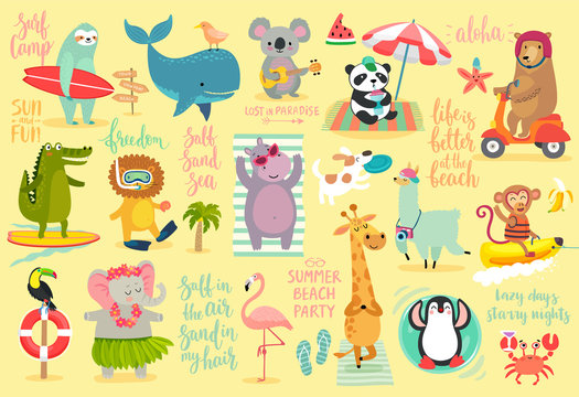 Fototapete - Beach Animals hand drawn style, Summer set - calligraphy and other elements.