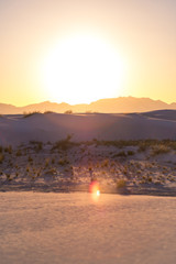 Wall Mural - sunset at white sands desert