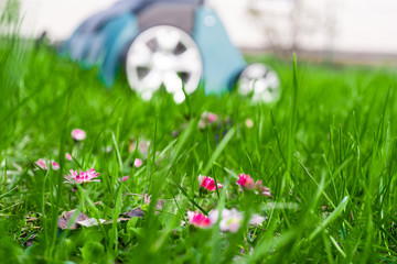 Wall Mural - Scarifier on green grass. Work in the garden. scarifier