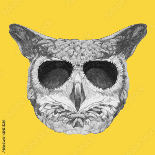 owl with sunglasses