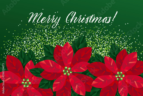 Red xmas poinsettia gradien...