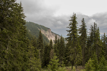 Snezhanka is a peak in the Rhodopes, Bulgaria. It is located 15 km away from the town of Smolyan.