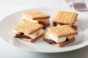 Wall Mural - homemade marshmallow s'mores with chocolate on crackers