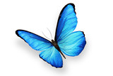 160_f_206351671_yuljhgyspidme2pda3bsti5zia1josud