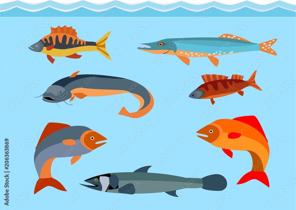 Media Vector Fish Fishes vector set, marine life theme Stock Vector | Adobe Stock