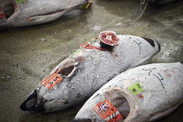 Poster - Tsukiji fish market 