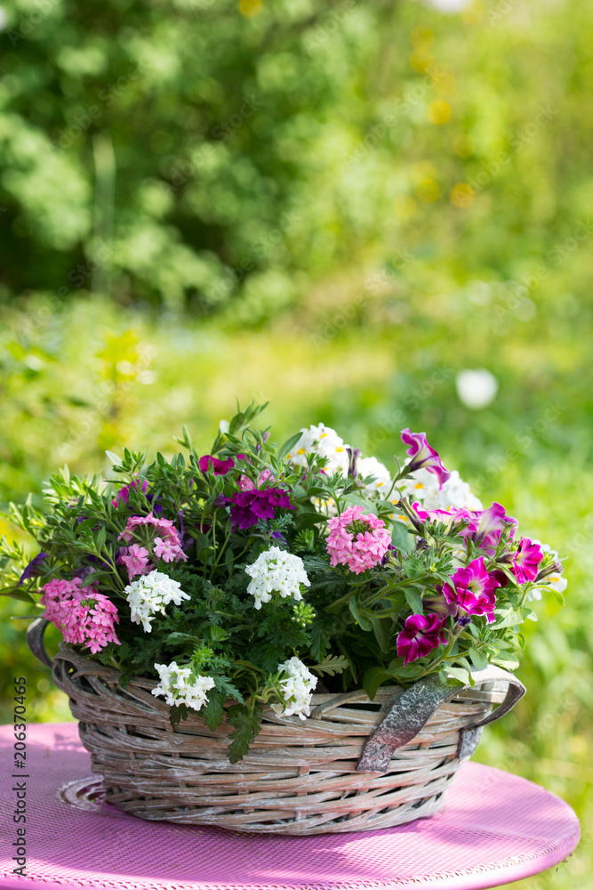 Korb mit Blumen Stock Photo