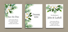 Cards With Plumeria And Palm Leaves On Card