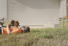 Side View Of Boy Playing With Yorkshire Terrier On Grassy Field At Backyard