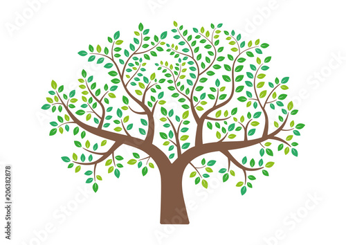 Dekoracja na wymiar  drzewo-wektorowe