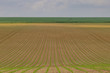 © lemanieh - Young crops growing on a remote French farm