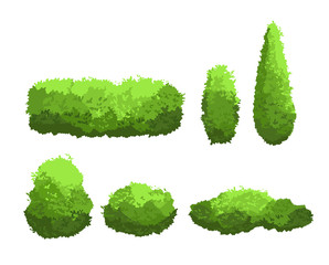 vector illustration set of garden green bushes and decorative trees different shapes. shrub and bush