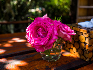 Beautiful rose in vase on table in a garden