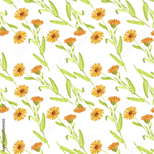 bezszwowy-wzor-z-rysowac-roslina-calendula