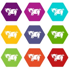 Poster - Cute pig icons 9 set coloful isolated on white for web