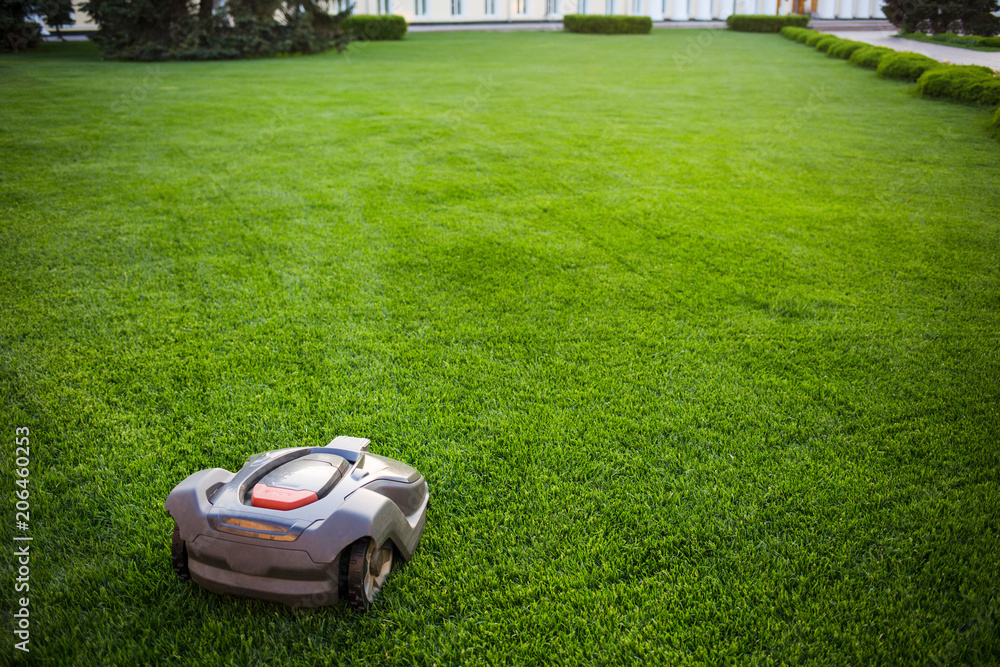 automatic lawnmower robot mower on grass, lawn. view of the large mowed lawn. copy space. - obrazy, fototapety, plakaty 