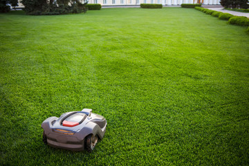 automatic lawnmower robot mower on grass, lawn. view of the large mowed lawn. copy space.