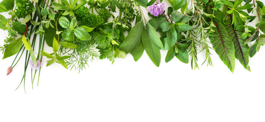 Sticker - Fresh garden herbs isolated on white background