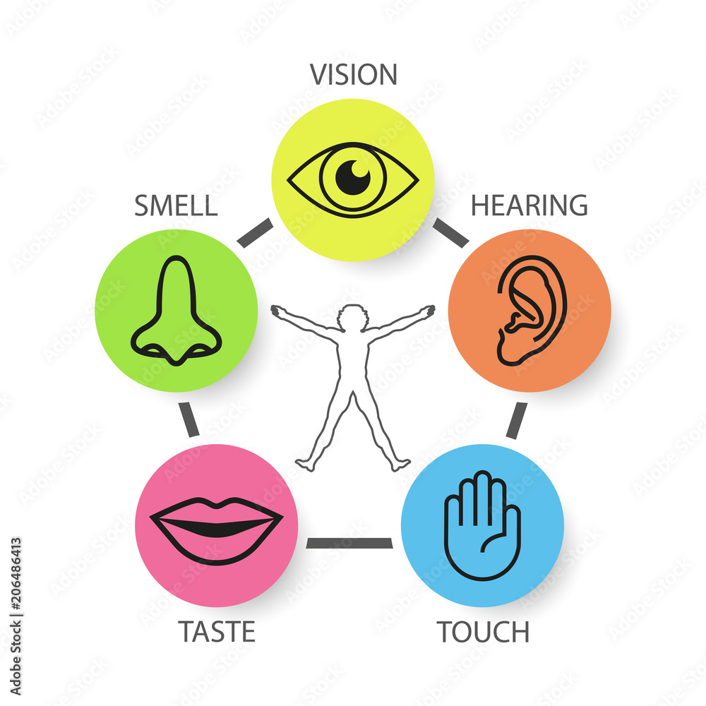 Icon Set Of Five Human Senses Vision Smell Hearing Touch Taste