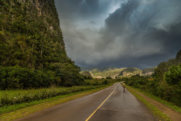 Paisaje Cubano