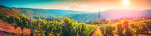 Panoramic Landscape With Autumn Vineyards. Mosel, Germany