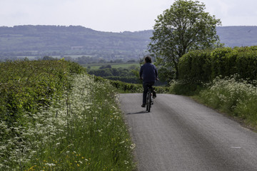 Lane with Cyclist