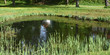 Kleiner Teich im Schlossgarten von Senftenberg