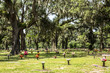 Savannah old cemetery