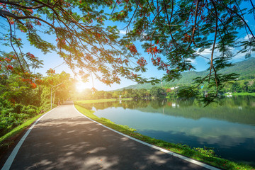 Along road landscape view in Ang Kaew Chiang Mai University Forested Mountain blue sky background with white clouds, Nature Road in mountain forest.