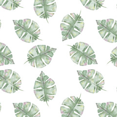  Tropical seamlless pattern with exotic palm leaves. Seamlless pattern tropic leafs on white background