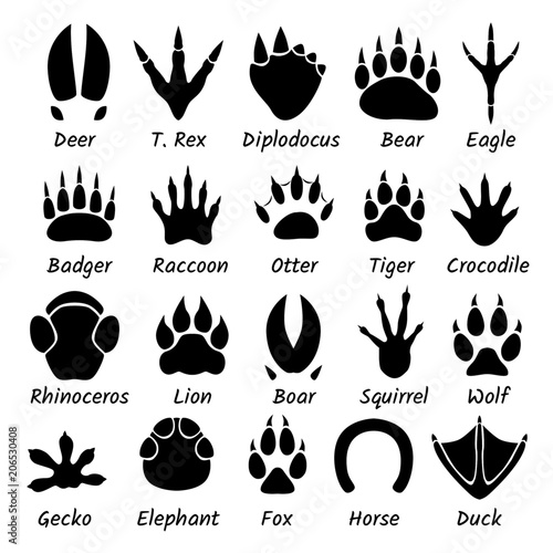 Download Animal foot tracks vector paw printable silhouette cut files diy craft home decor ornament ...