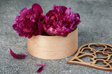 Two peonies in a box on gray background