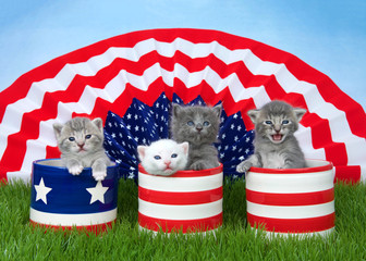 Four small fluffy kittens sitting in patriotic designed pots on green grass, American flag banner in background blue sky behind.