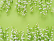 Romantic gentle flower background, lily of the valley on a green background, top view, flat layout. 