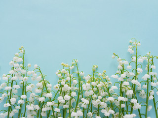 Wall Mural - Romantic gentle flower background, lily of the valley on a blue background, top view, flat layout. 