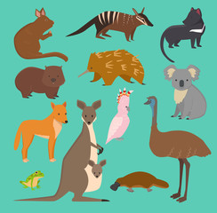 Wall Mural - Australian wild vector animals cartoon collection australia popular animals like platypus, koala, kangaroo, ostrich set isolated on background