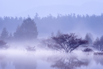 Naklejka na meble photo