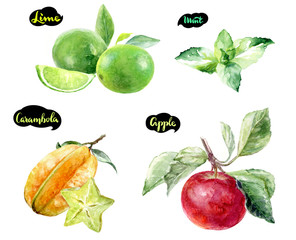 Wall Mural - carambola lime apple mint watercolor